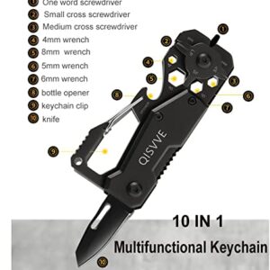 QISVVE Carabiner Key Ring Clip, Car Keychain Clip, Bottle Opener EDC Key Chain for Men and Women Black