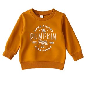 boebnozcv toddler boy girl halloween pumpkin patch sweatshirt outfit long sleeve oversized sweater shirts fall blouse clothes (brown pumpkin sweatshirt,7-8 years)