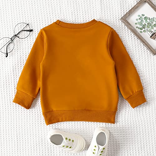 BOEBNOZCV Toddler Boy Girl Halloween Pumpkin Patch Sweatshirt Outfit Long Sleeve Oversized Sweater Shirts Fall Blouse Clothes (Brown Pumpkin Sweatshirt,7-8 Years)