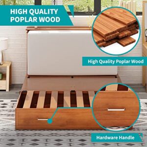 BALUS Modern Murphy Bed Cabinet with Mattress,Muti-Functional Cube Cabinet Bed with USB Charging Station&2 Large Drawers&3 Level Folding Foam Mattress for Apartment/Living Room/Loft,Queen (Redwood)