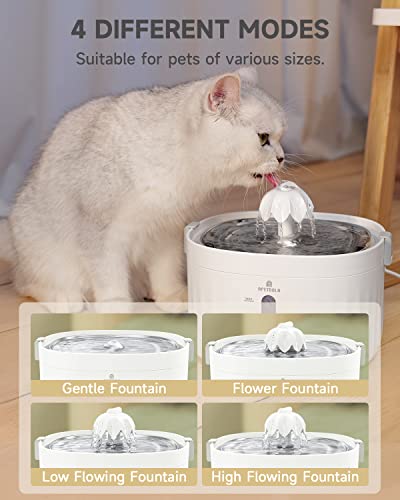 Cat Water Fountain, APETDOLA Cat Fountain Automatic with Stainless Steel Tray, 2L/67oz Ultra-Quiet Pet Water Fountain for Cats Inside, Cat Fountain Water Bowl, for Cats, Dogs, Multiple Pets