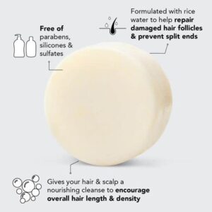 Kitsch Rice Bar Shampoo and Conditioner Bar for Hair Growth | Rice Shampoo Bar & Conditioner Bar for Strengthening, Cleansing & Moisturizing | Vegan Rice Water Shampoo Bar & Conditioner Soap, 2pc Set