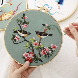 Picoey Birds Embroidery Kit for Beginners with Pattern and Instructions,4 Pack Cross Stitch Kits,2 Wooden Embroidery Hoops,Threads and Needles,Needlepoint Kit for Adults