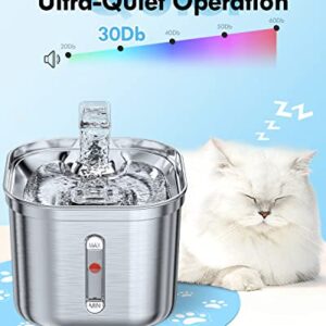 Rantizon Cat Water Fountain, 74oz/2.2L Stainless Steel Cat Fountain Water Bowl, Quiet Electric Automatic Pet Water Fountain with Silicone Mat, Water Fountain for Cats Inside for Cats Dogs Pets