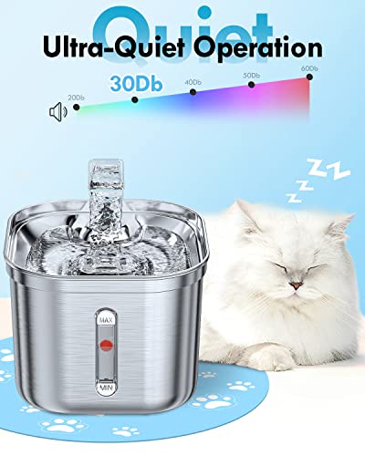 Rantizon Cat Water Fountain, 74oz/2.2L Stainless Steel Cat Fountain Water Bowl, Quiet Electric Automatic Pet Water Fountain with Silicone Mat, Water Fountain for Cats Inside for Cats Dogs Pets