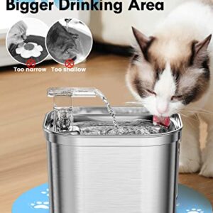 Rantizon Cat Water Fountain, 74oz/2.2L Stainless Steel Cat Fountain Water Bowl, Quiet Electric Automatic Pet Water Fountain with Silicone Mat, Water Fountain for Cats Inside for Cats Dogs Pets