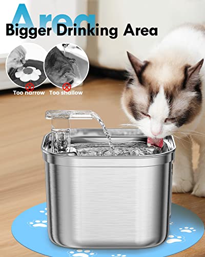 Rantizon Cat Water Fountain, 74oz/2.2L Stainless Steel Cat Fountain Water Bowl, Quiet Electric Automatic Pet Water Fountain with Silicone Mat, Water Fountain for Cats Inside for Cats Dogs Pets