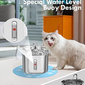 Rantizon Cat Water Fountain, 74oz/2.2L Stainless Steel Cat Fountain Water Bowl, Quiet Electric Automatic Pet Water Fountain with Silicone Mat, Water Fountain for Cats Inside for Cats Dogs Pets