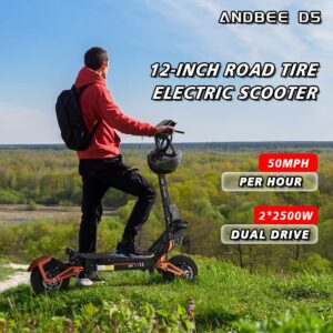 ANDBEE Electric Scooter Adult, 12-inch Road Tires with Seat Sports Scooter, 5000W Dual Motor High Power Dual Drive 50MPH, 48V35AH Range 75Miles Removable with Password Lock Battery Electric Scooter