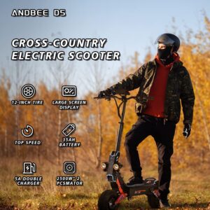 ANDBEE Electric Scooter Adult, 12-inch Road Tires with Seat Sports Scooter, 5000W Dual Motor High Power Dual Drive 50MPH, 48V35AH Range 75Miles Removable with Password Lock Battery Electric Scooter