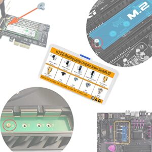 M.2 SSD Screw Kit, M.2 Standoff and Screw Kit for Asus Gigabyte MSI PS5 Motherboards