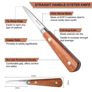 Klysimath Oyster Shucking Knife, 2 Oyster Knives Set with Level 5 Protection Glove, Oyster Shucker with Premium Wood-handle, Oyster Knives for Seafood(2 Knives+1 Glove)