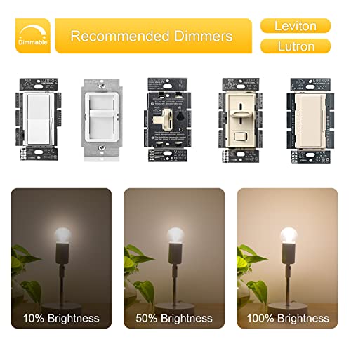 Dimmable A15 LED Bulb, 2W E26 Globe Light Bulbs, 25 Watt Incandescent Bulb Equivalent, 3000K Soft Warm White, Clear Glass, Small Round Filament Bulbs for Ceiling Fans, Bathroom Vanity, 6 Pack