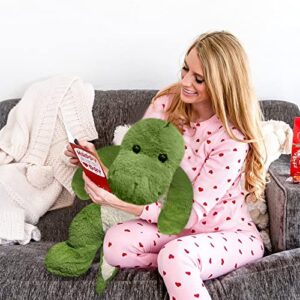 Mewkou 3.5 LB Dinosaur Weighted Stuffed Animals, 24 Inch Weighted Plush Animals Dino Plush Throw Pillow, Super Soft Cartoon Hugging Toy Gifts for Bedding