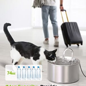 AOOGITF Cat Water Fountain, 304 Stainless Steel Pet Water Fountain, 24/7 Keep The Water Fresh, 74oz Capacity, Ultra-Quiet, No Sputter, Compact, Easy Cleaning, Suit for Pets