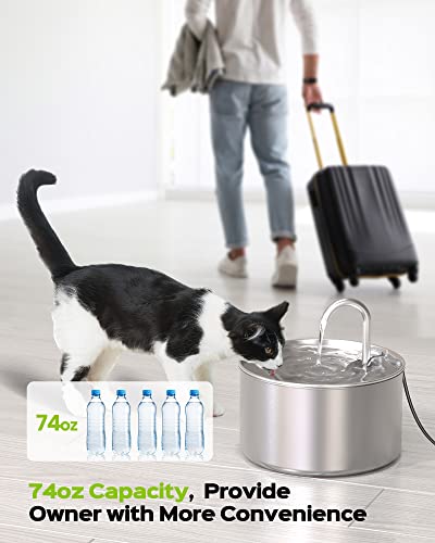 AOOGITF Cat Water Fountain, 304 Stainless Steel Pet Water Fountain, 24/7 Keep The Water Fresh, 74oz Capacity, Ultra-Quiet, No Sputter, Compact, Easy Cleaning, Suit for Pets