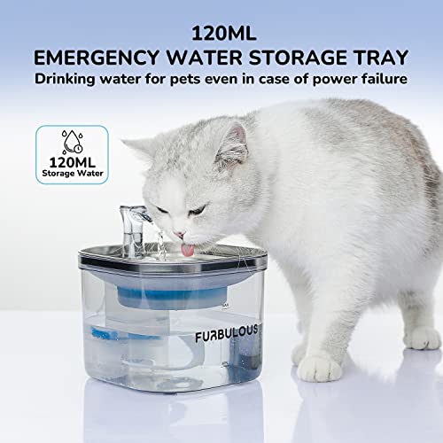 FURBULOUS pet Fountain 68oz/2L, Automatic cat Water Fountain, 3-Speed Adjustable Silent Water Pump, 304 Stainless Steel Drinking Tray, Translucent Water Tank. Dog Water Dispenser for Multiple Pets