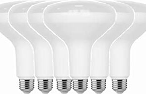 Home Depot 75-Watt Equivalent BR40 CEC Dimmable LED Light Bulb 2700K Soft White (6-Pack) Damp Location Rated