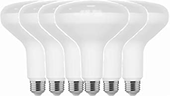 Home Depot 75-Watt Equivalent BR40 CEC Dimmable LED Light Bulb 2700K Soft White (6-Pack) Damp Location Rated