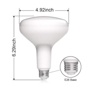 Home Depot 75-Watt Equivalent BR40 CEC Dimmable LED Light Bulb 2700K Soft White (6-Pack) Damp Location Rated