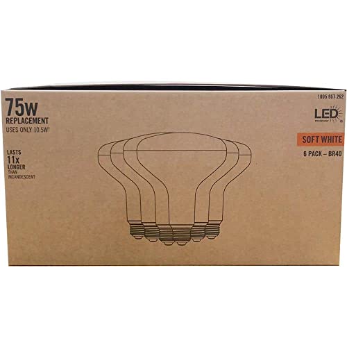 Home Depot 75-Watt Equivalent BR40 CEC Dimmable LED Light Bulb 2700K Soft White (6-Pack) Damp Location Rated