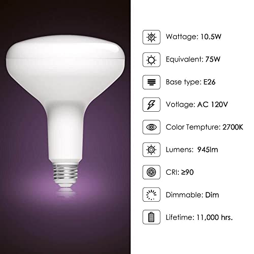 Home Depot 75-Watt Equivalent BR40 CEC Dimmable LED Light Bulb 2700K Soft White (6-Pack) Damp Location Rated