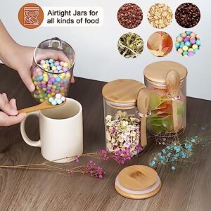 3-pack 18oz Airtight Glass Storage Canister with Wood Lid Spoon and Tray, Food Glass Jars ,Overnight Oats Containers with Lids,Decorative Kitchen Jars for Coffee Tea Sugar Spice,Salt Containers