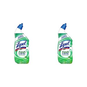 lysol toilet bowl cleaner gel, for cleaning and disinfecting, stain removal, forest rain scent, 24oz (pack of 2)