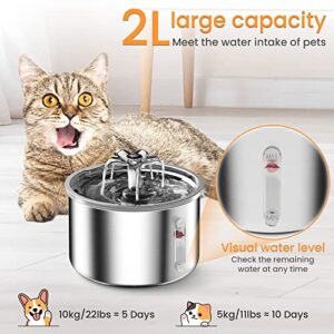 PtPMPUS Cat Water Fountain Stainless Steel Pet Fountain 2L/67oz Dog Water Bowl Dispenser Automatic Water Dispenser for Dogs Ultra-Quiet Water Fountain for Cats Inside