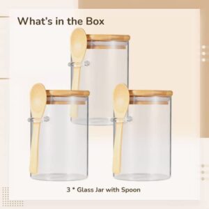 Kitchen Glass Jars with Spoons, 3 PCS Large Capacity Kitchen Canisters, 20 OZ Transparent Glass Kitchen Containers, Clear Glass Bottle with Airtight Bamboo Lid, Kitchen Organizer for Grains, Spices, Coffee Beans, Snacks