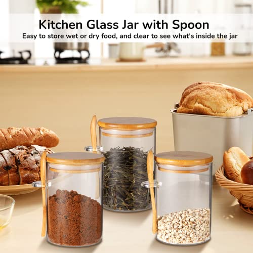 Kitchen Glass Jars with Spoons, 3 PCS Large Capacity Kitchen Canisters, 20 OZ Transparent Glass Kitchen Containers, Clear Glass Bottle with Airtight Bamboo Lid, Kitchen Organizer for Grains, Spices, Coffee Beans, Snacks