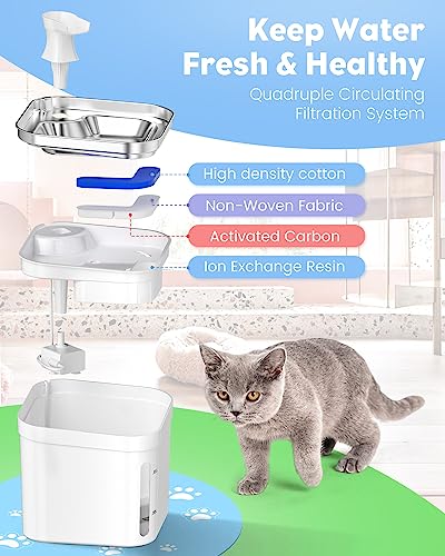 Petnimal Cat Water Fountain, 74oz/2.2L 304 Stainless Steel Cat Fountain Water Bowl with Water Level, Quiet Automatic Pet Water Fountain with Silicone Mat, Pet Fountain for Cats Dogs Multiple Pets