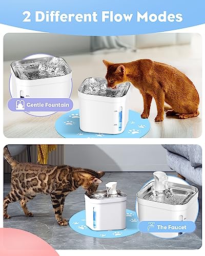 Petnimal Cat Water Fountain, 74oz/2.2L 304 Stainless Steel Cat Fountain Water Bowl with Water Level, Quiet Automatic Pet Water Fountain with Silicone Mat, Pet Fountain for Cats Dogs Multiple Pets
