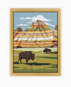 badlands national park cs456-2 - counted cross stitch kit#2. set of threads, needles, aida fabric, needle threader, embroidery clippers and printed color pattern inside.