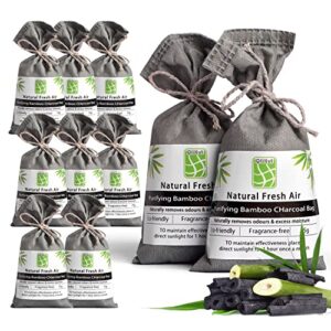 10 pack bamboo charcoal nature fresh air purifying bags,activated charcoal bags odor absorber, moisture eliminator,deodorizer, air fresheners for car smell,closet,shoe,large room,pet room (10x75g)