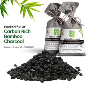 10 Pack Bamboo Charcoal Nature Fresh Air Purifying Bags,Activated Charcoal Bags Odor Absorber, Moisture Eliminator,Deodorizer, Air Fresheners For Car Smell,Closet,Shoe,large Room,Pet Room (10x75g)