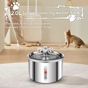 AZZXZQYU Cat Water Fountain Stainless Steel, 67oz/2L Dog Water Dispenser, Automatic Pet Water Fountain with Ultra Quiet Pump and Water Level Window for Cats,Dogs,Multiple Pets