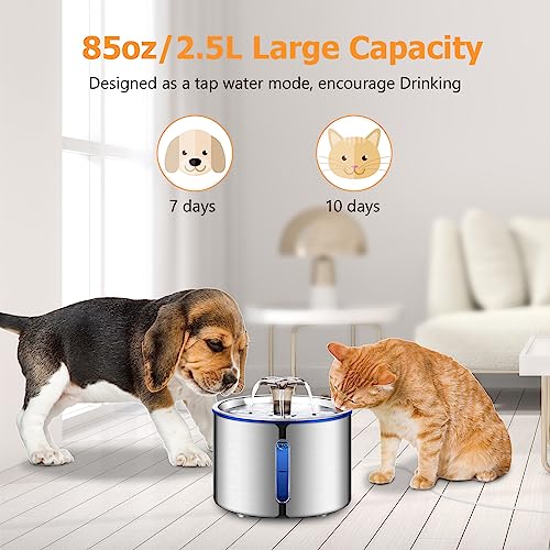 Cat Water Fountain, BOORCA 84oz/2.5L Stainless Steel Pet Water Fountain, Automatic Dog Water Dispenser with Water Level Window, Ultra-Quiet Pump and 2 Replacement Filters for Cats, Dogs, Multiple Pets