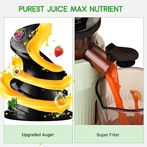 Juicer Machines-SOVIDER Compact Slow Masticating Juicer Extractor- 3.1" Wide Chute Cold Press Juicer for High Nutrient Fruits Vegetables Easy Clean with Brush| Pulp, Measuring Cup, Reverse Function (Dark Green) (Slow Masticating Juicers)