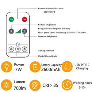 USB C Rechargeable Light Bulb with Remote Control, 7W Battery Powered Light Bulbs E26 Touch Control Dimmable LED Bulb with Timing Function, Outdoor Camping Emergency Light Bulb with Hook,6500K/1 Pack