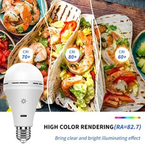 USB C Rechargeable Light Bulb with Remote Control, 7W Battery Powered Light Bulbs E26 Touch Control Dimmable LED Bulb with Timing Function, Outdoor Camping Emergency Light Bulb with Hook,6500K/1 Pack