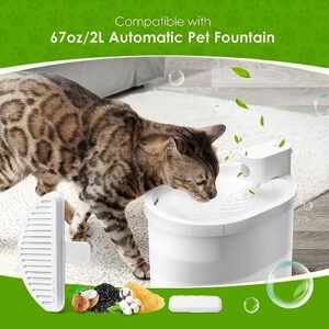 Cat Fountain Filters for Wireless Operated 67oz/2L, 6 Pack Replacement Filters & 12 Pack Replacement Filter Sponges for 67oz/2L Automatic Pet Fountain Cat Water Fountain Cat Water Dispenser