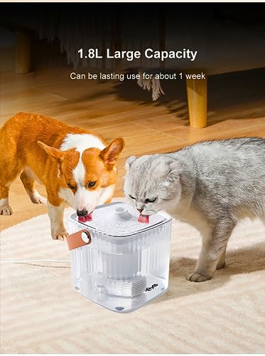 AdorPets 2023 Cat Water Fountain, 67oz/2L Pet Water Fountain, Cat Fountain Whit Strap To Carry, Water Filter Whit Carbon-Ion, Pet Fountain USB Adapter, 3 Types Water Fountain, Multiple Pets, Cat & Dog