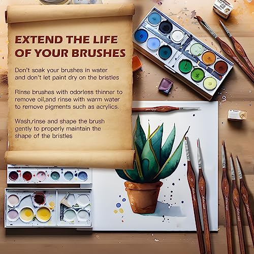 Miniature Model Paint Brushes-10pcs Micro Detail Paint Brush Set,Small Fine Detail Brushes for Acrylics, Oils, Watercolors & Paint by Number, Citadel, Figurine, Warhammer 40k