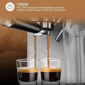 ILAVIE 6-in-1 Espresso Coffee Machine Built-In Automatic Milk Frother, 20 Bar Espresso & Cappuccino & Latte Maker with 34 oz Removeable Water Tank, Ideal for Home Use, Stainless Steel