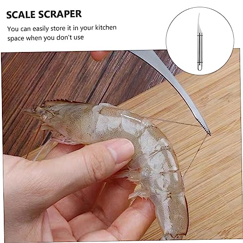 BESTonZON 1 Set fish skin grater Salmon fish trap cleaning brush seafood fish descaling tool Shrimp Cleaner Fish Scrapers fish skin Kitchenware scales fish scaler Stainless steel