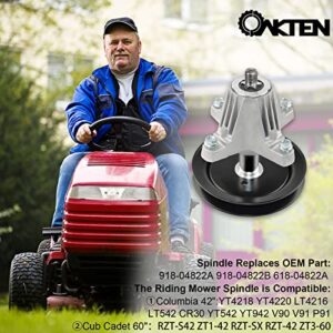 OakTen Lawn Mower Spindle Assembly fits 618-04822 918-04822 for Cub Cadet LTX1040 LTX1042 with 42 inch Mower Deck 1-Pack