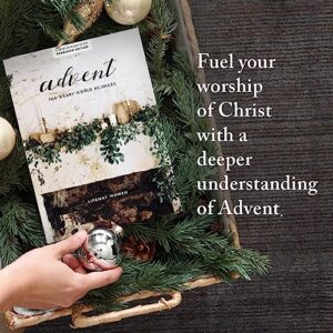 Advent - Bible Study Book: The Weary World Rejoices