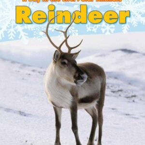 Reindeer (A Day in the Life: Polar Animals)