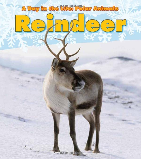 Reindeer (A Day in the Life: Polar Animals)